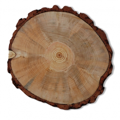 Charger Plate -  Wood Log Slice