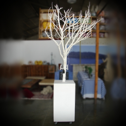 Tree white wooden base