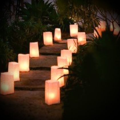 Luminary Candle Bags