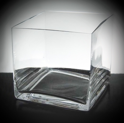 Square Glass Vase/Container