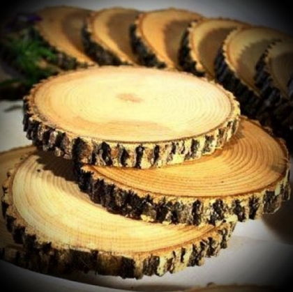 Wood log slice 35-50cm