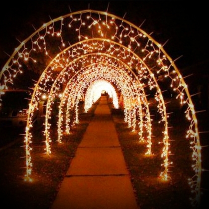 Fairy light Arch