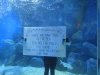 Under Water Message